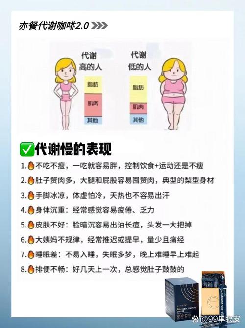 减肥期间新陈代谢是什么意思呢