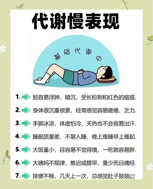 减肥期间新陈代谢是什么意思呢