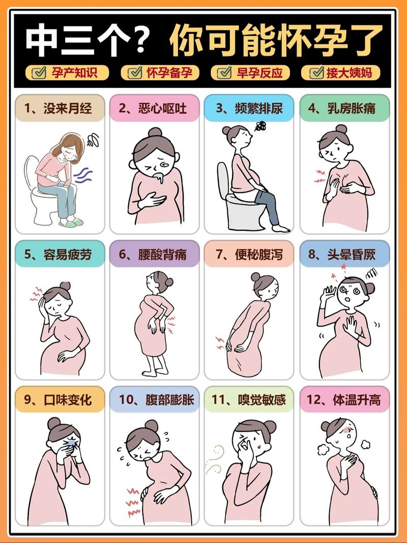 女人怀孕是什么反应