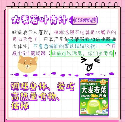 代餐是什么减肥原理