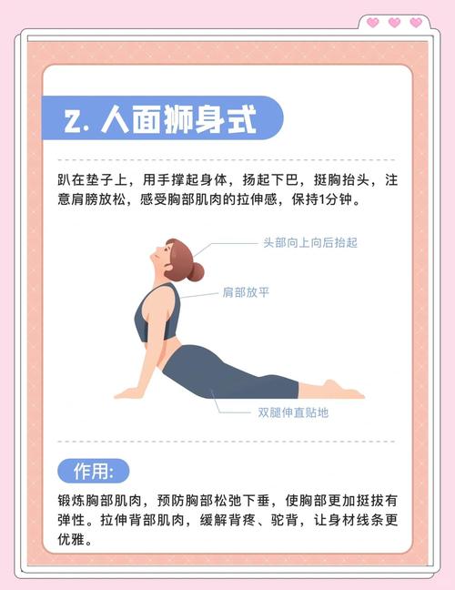 做什么运动可以丰胸