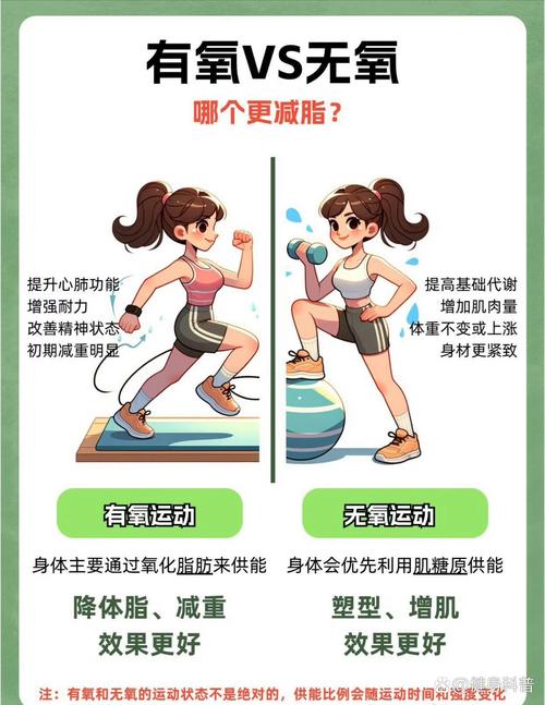 上身胖的人如何减肥什么锻炼能减肥