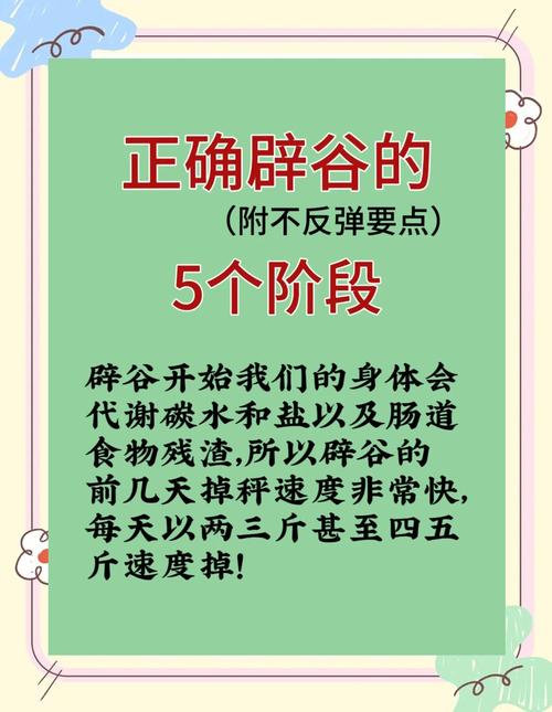 辟谷期间搭配什么可以减肥