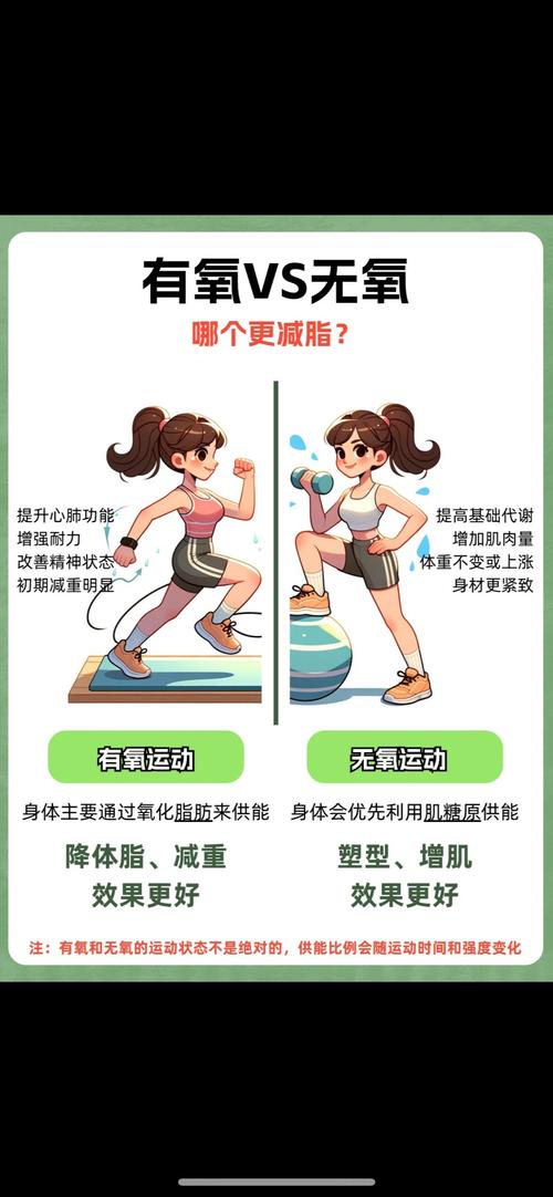 每天拍肚子减肥是什么原理