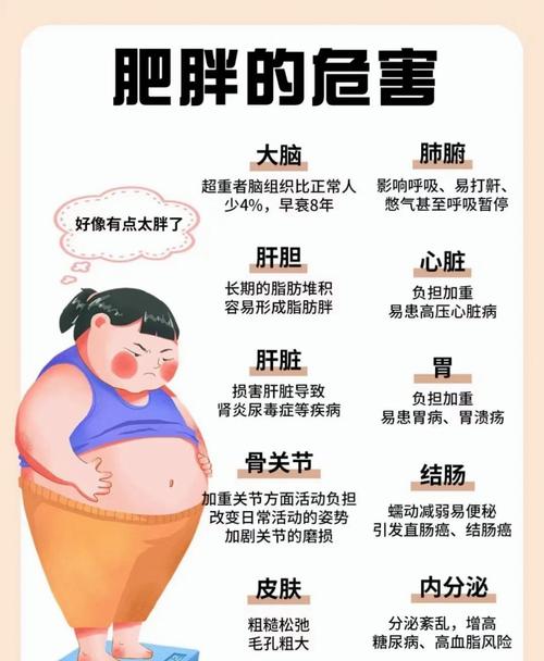 中年人为什么减肥