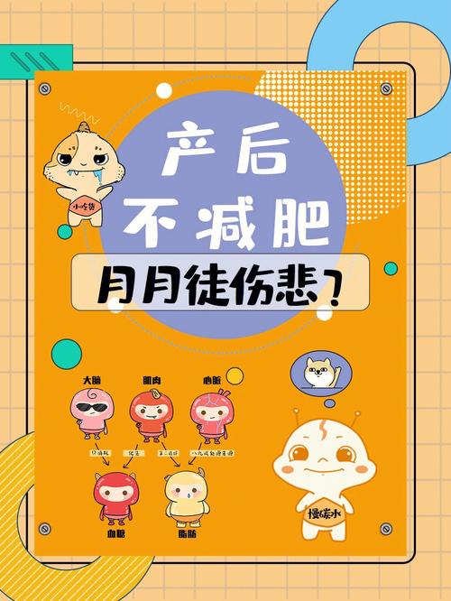 产后什么时间减肥合适