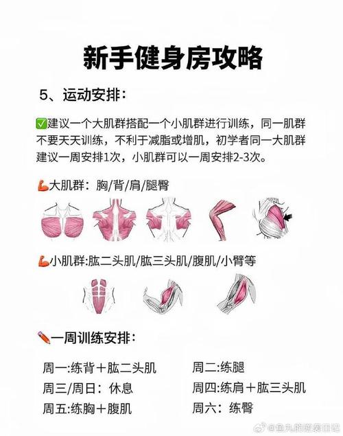 怎样健康健身减肥方法是什么意思
