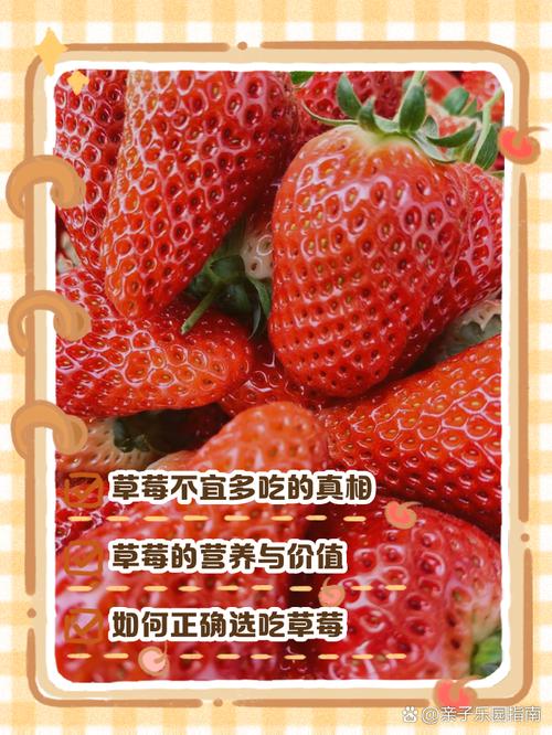吃草莓不能吃什么