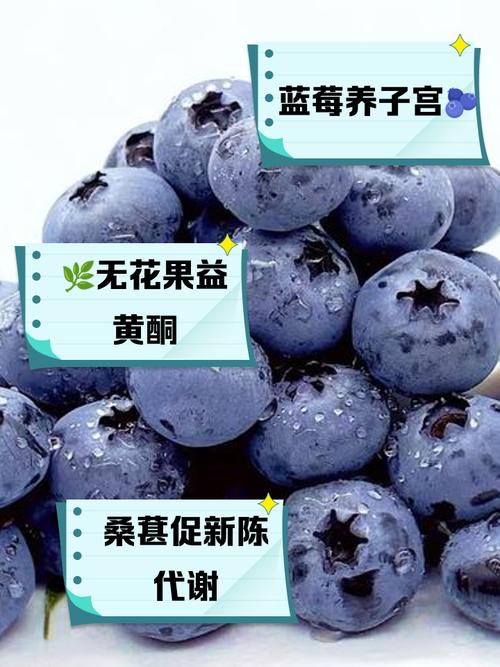 吃什么对子宫卵巢好