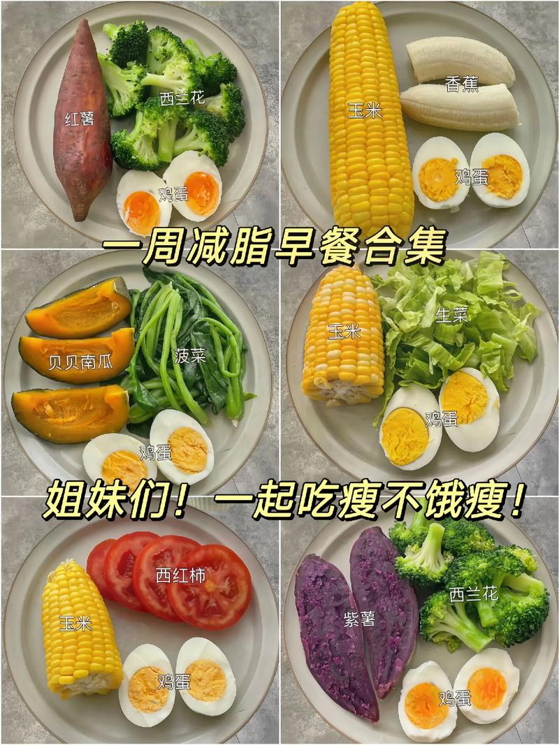 早餐要吃什么才能减肥
