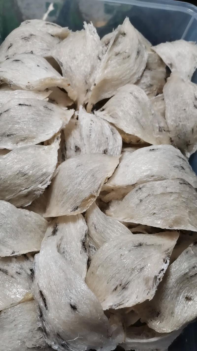 燕窝什么样子的图片