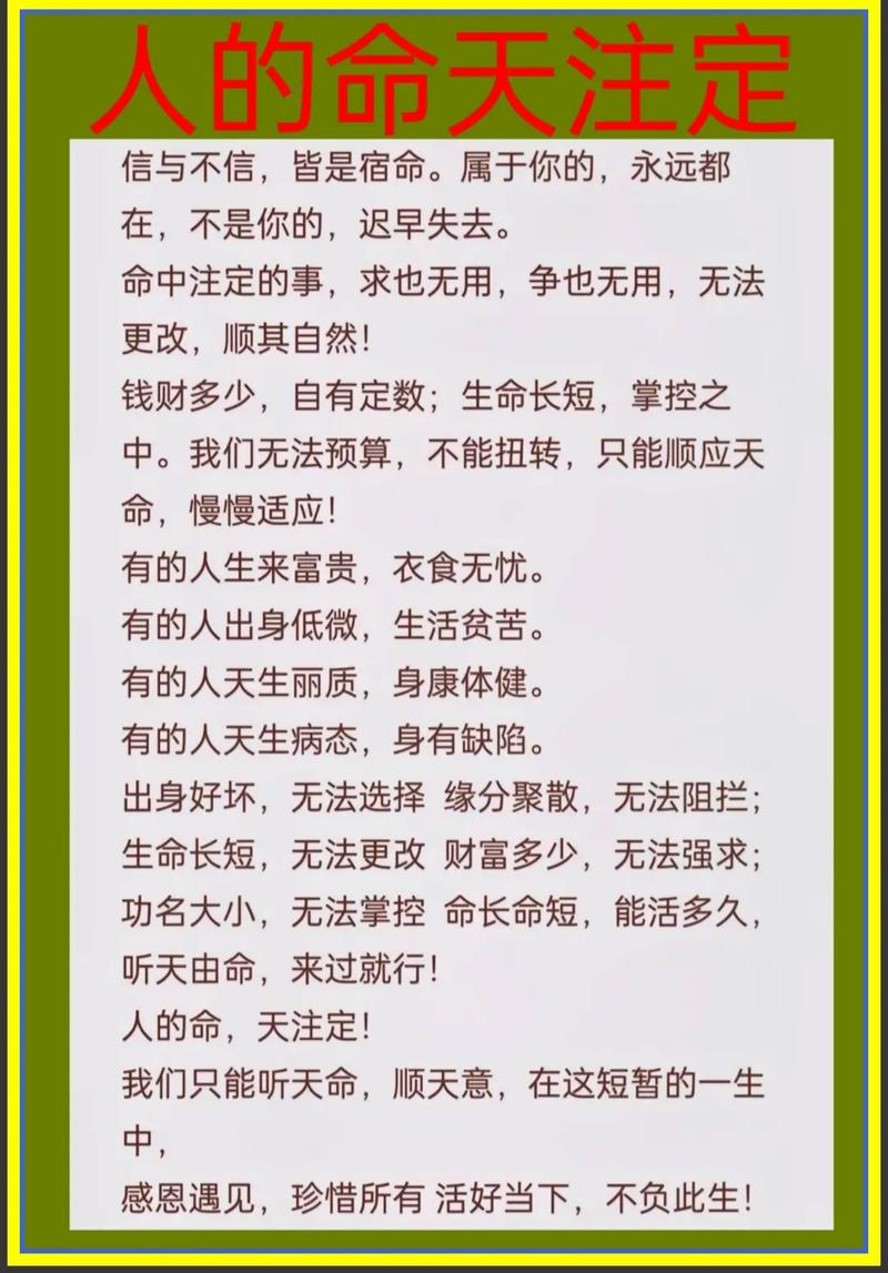 什么样的人命最好