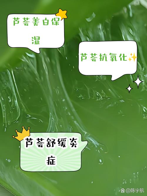 芦荟涂脸有什么好处