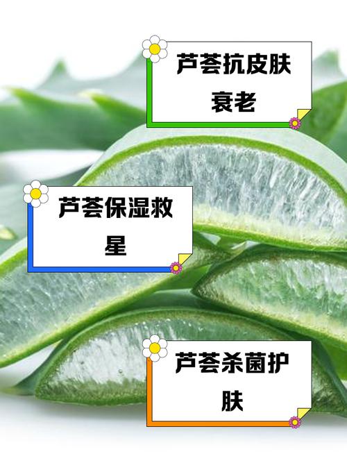 芦荟涂脸有什么好处