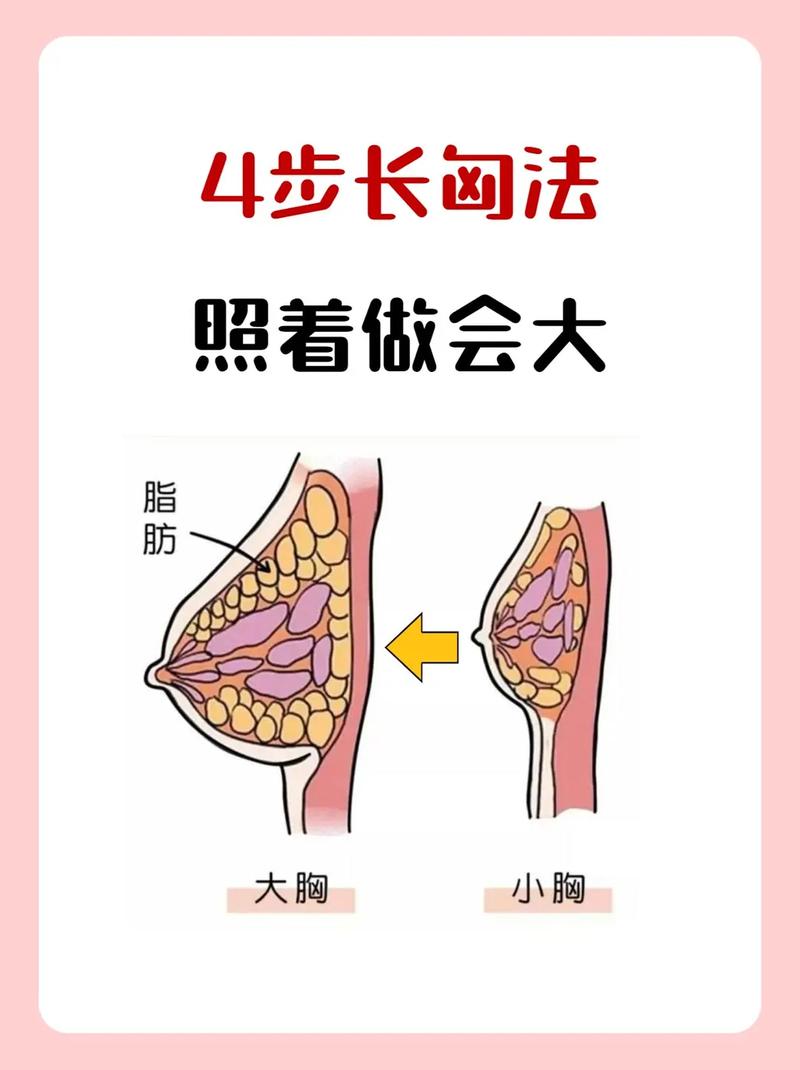 什么办法让胸变大