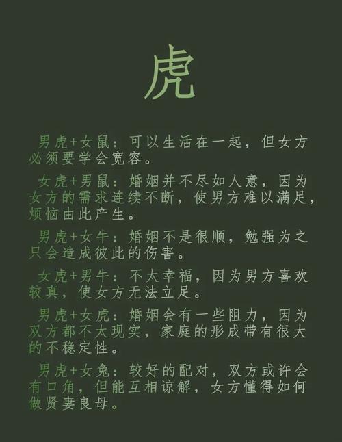 属虎最配什么