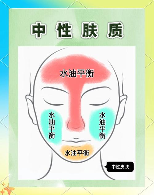 什么叫中性皮肤