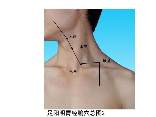 脖子上有什么穴位