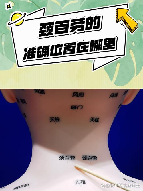 脖子上有什么穴位