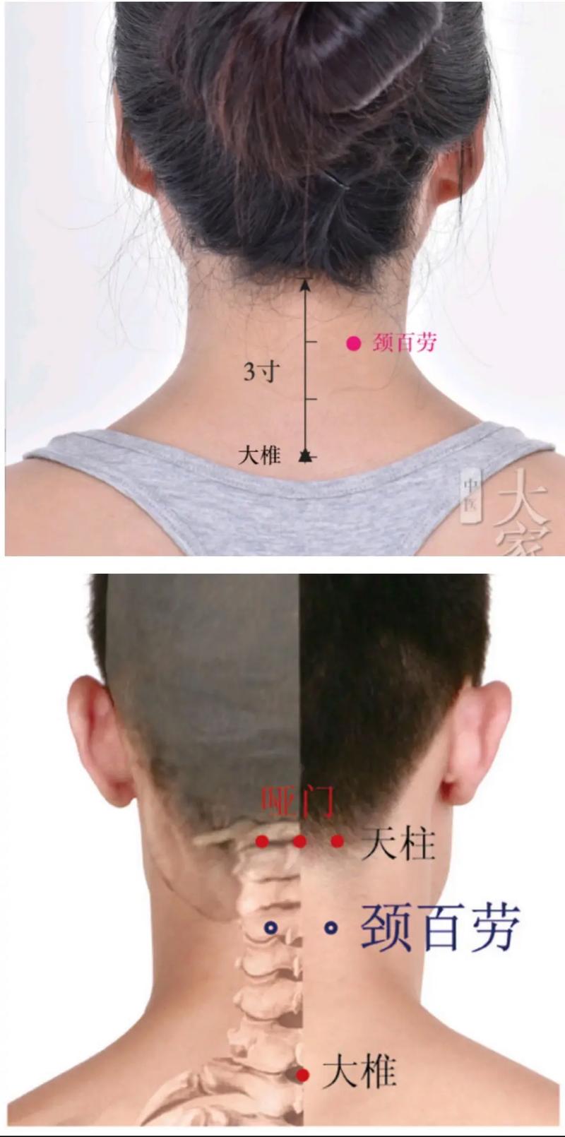 脖子上有什么穴位