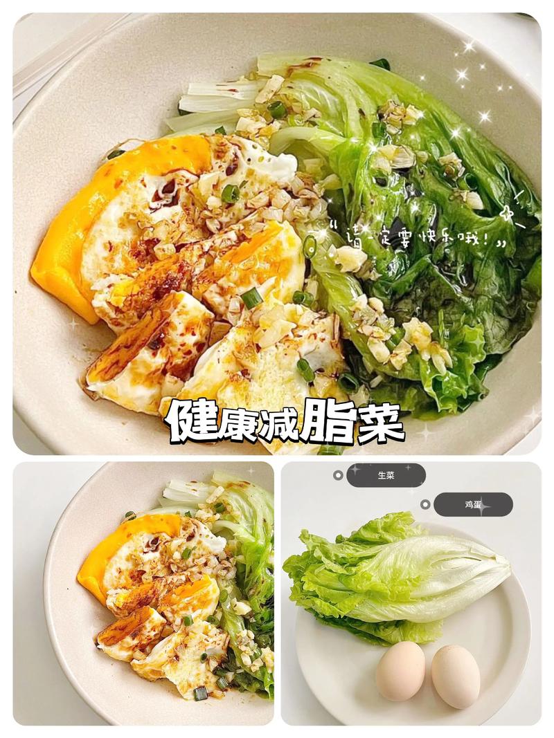 中午吃什么菜会减肥吗