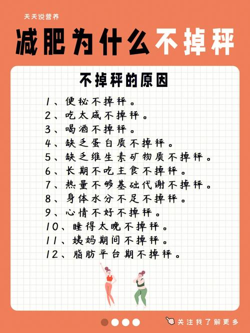 为什么会越减越肥