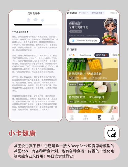 有什么减肥食谱的软件