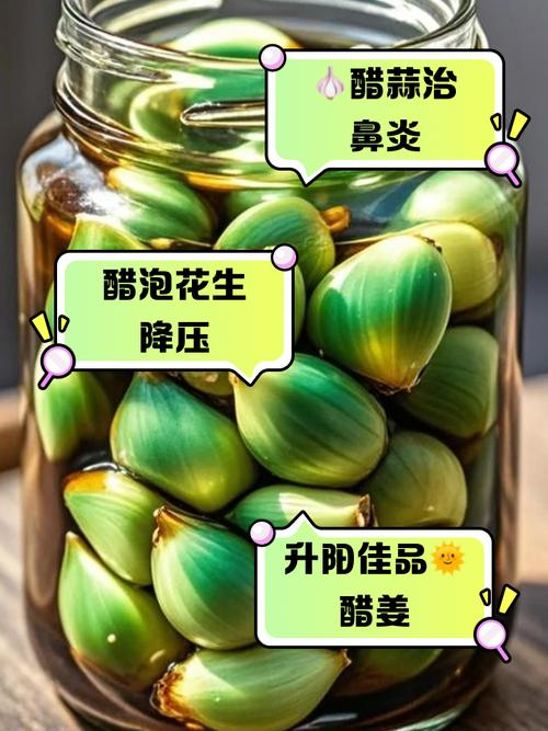 用醋泡什么减肥
