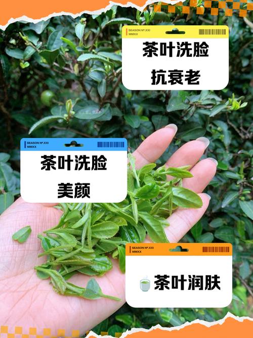 茶水洗脸有什么好处