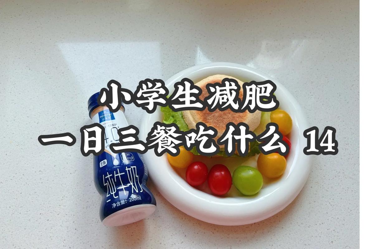 学校减肥吃什么