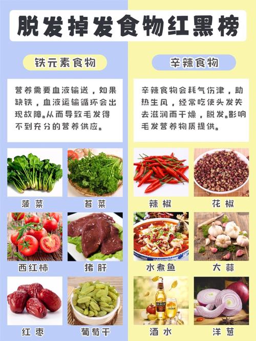 脱发吃什么东西好