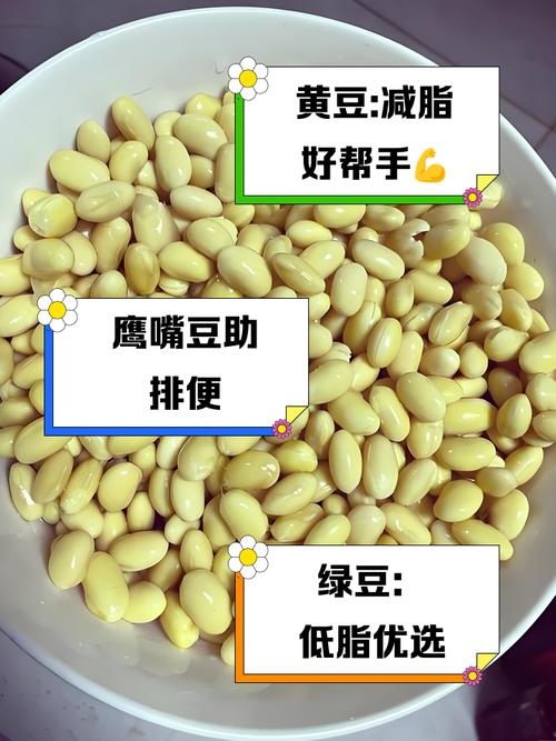 夏天喝什么豆子减肥快