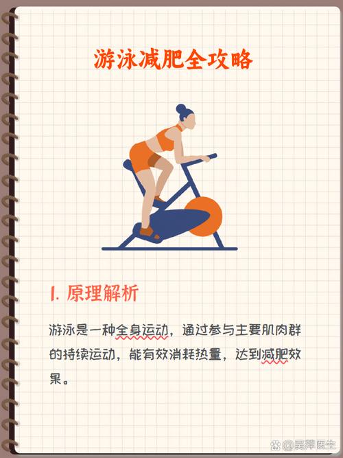 为什么游泳可以减肥