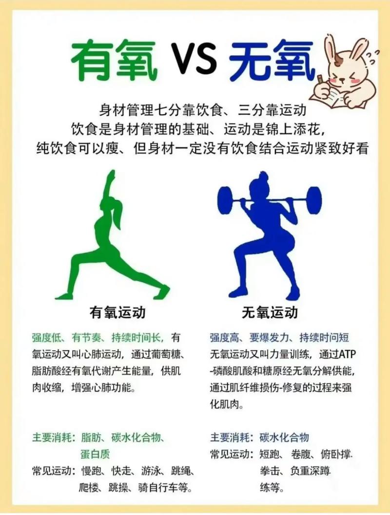 为什么无氧运动不减肥