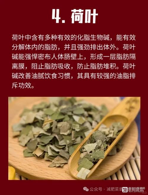 什么中药种子可以减肥