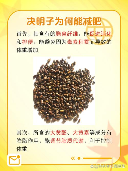 什么中药种子可以减肥