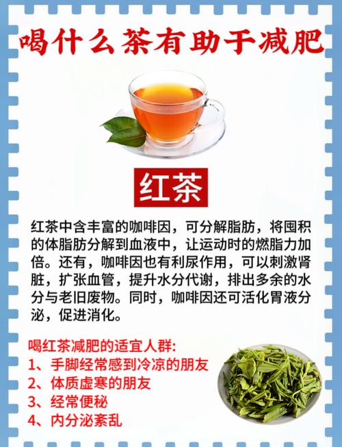 什么样的茶减肥又美容