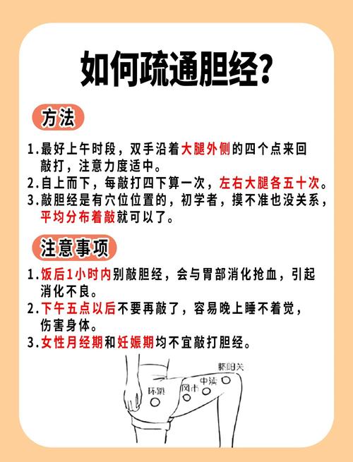 什么时间敲胆经减肥法