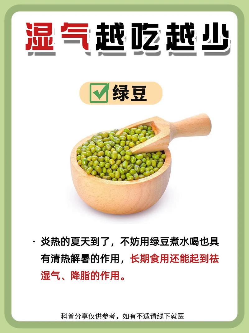 去湿气减肥吃什么最好