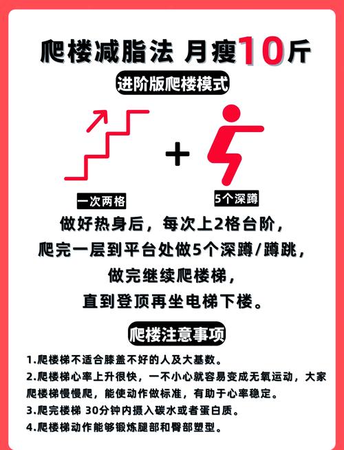 爬楼梯减肥什么时间