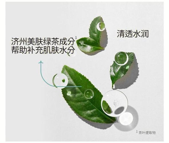 悦诗风吟绿茶籽洗面奶怎么样