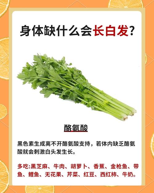 头发白吃什么维生素