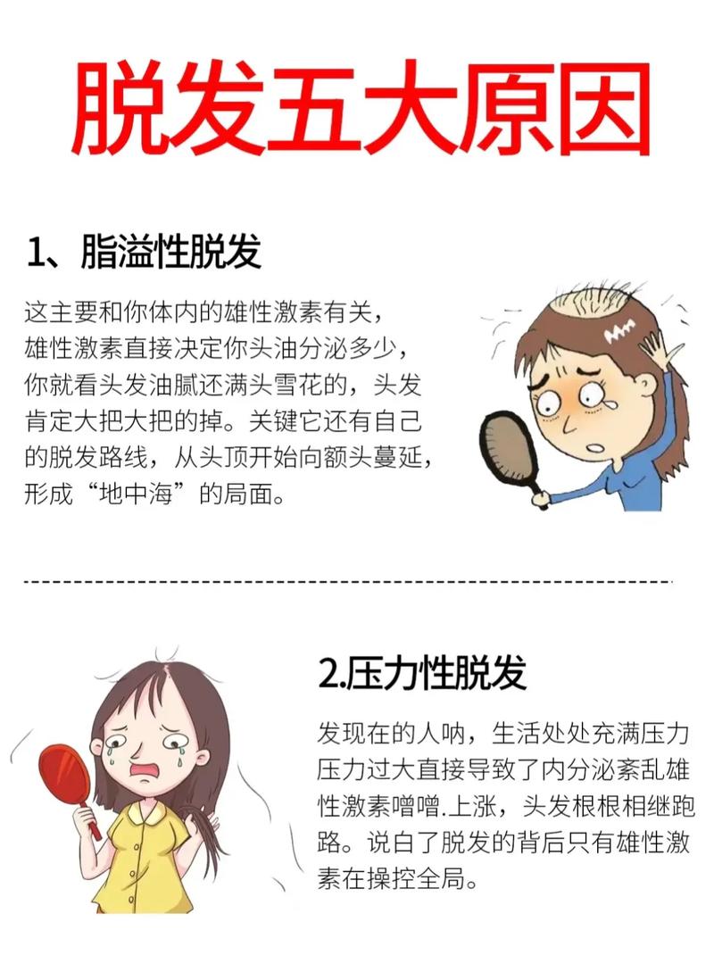 容易掉发是什么原因