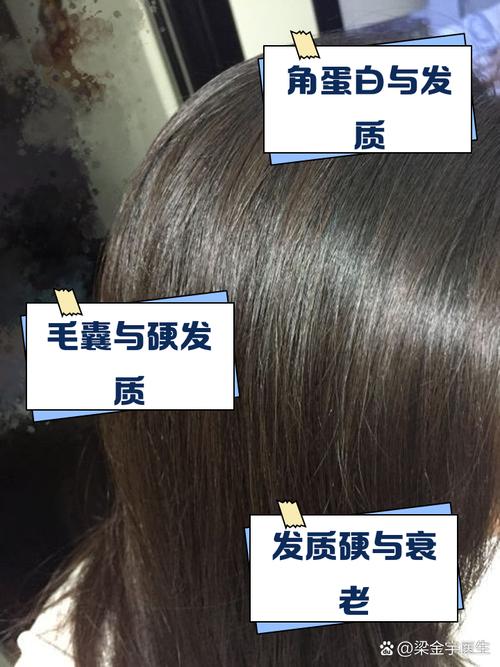 发质硬是什么原因