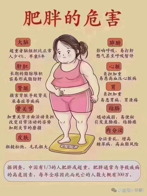 什么样的体质减肥慢