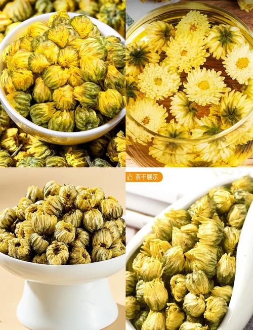 什么菊花好可以减肥茶