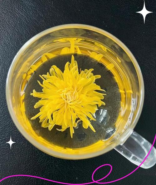 什么菊花好可以减肥