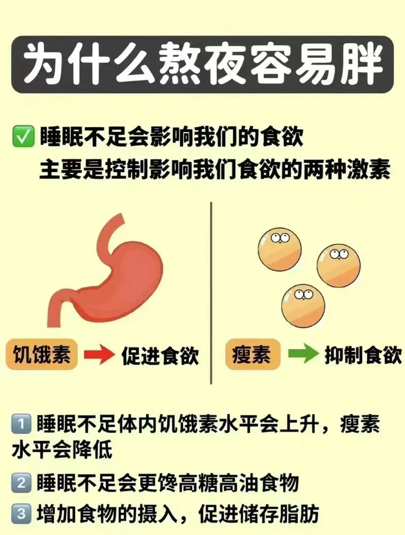 减肥为什么不能熬夜