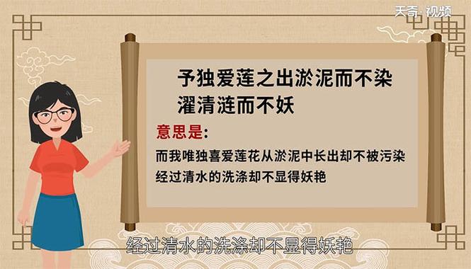 奇丽的意思是什么