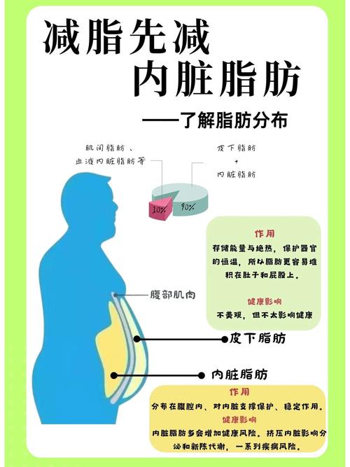 吃什么可以分解脂肪